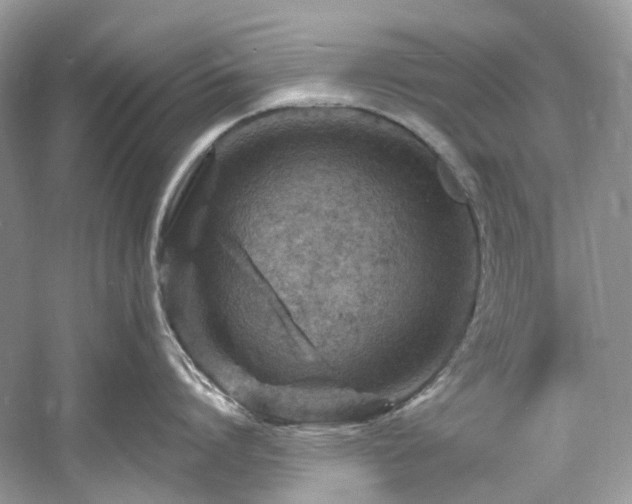 X0000061150864200511181232