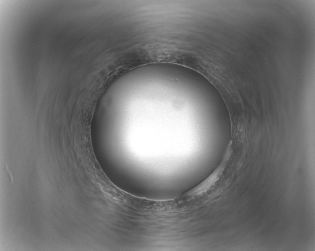 X0000061150865200511181231