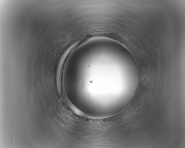 X0000061150866200511181231