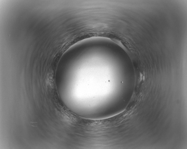 X0000061150867200511181231