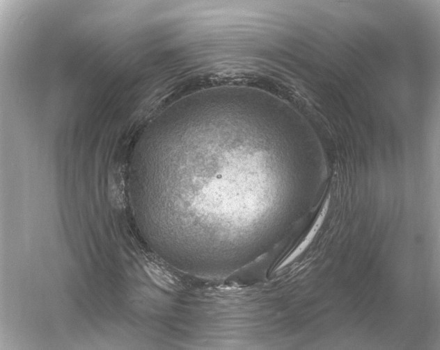 X0000061150868200511181231