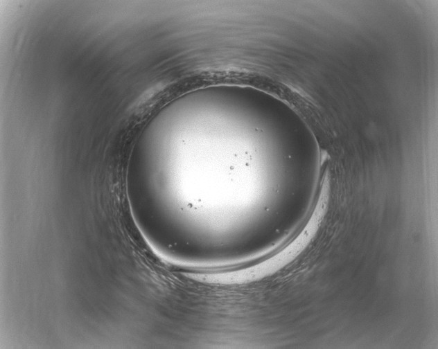 X0000061150870200511181231