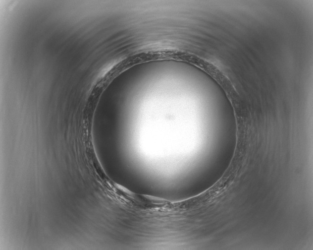 X0000061150871200511181231