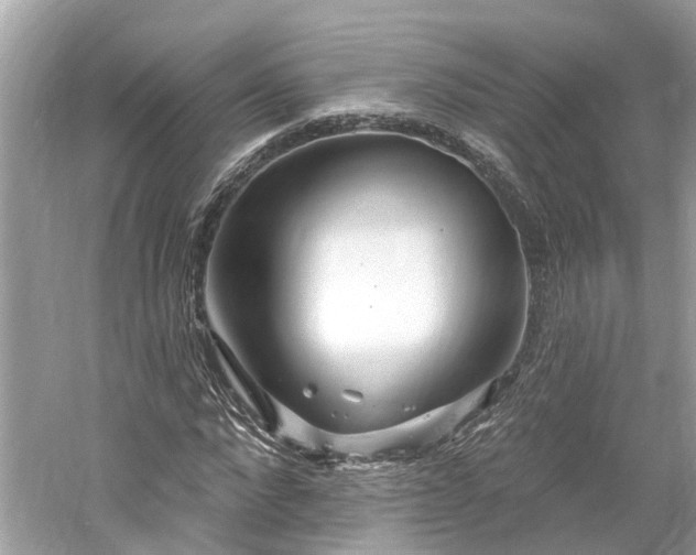 X0000061150872200511181231