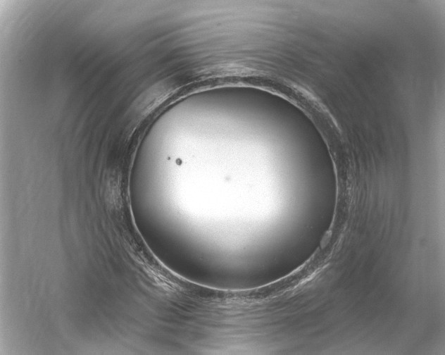 X0000061150873200511181231