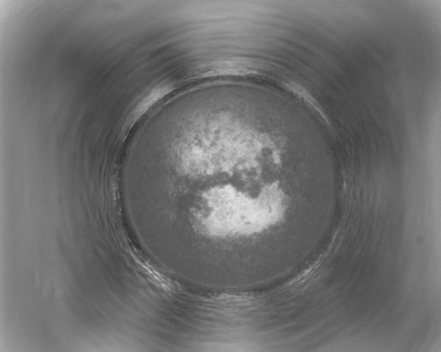 X0000061150874200511181231