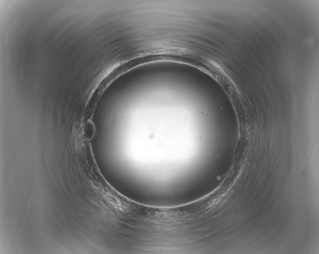 X0000061150875200511181231