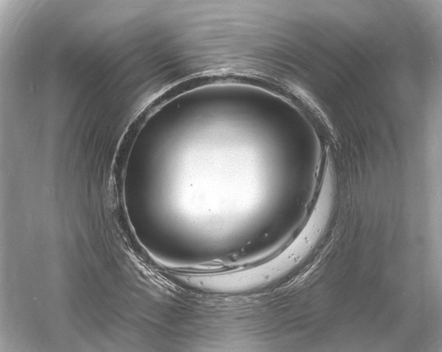 X0000061150876200511181231