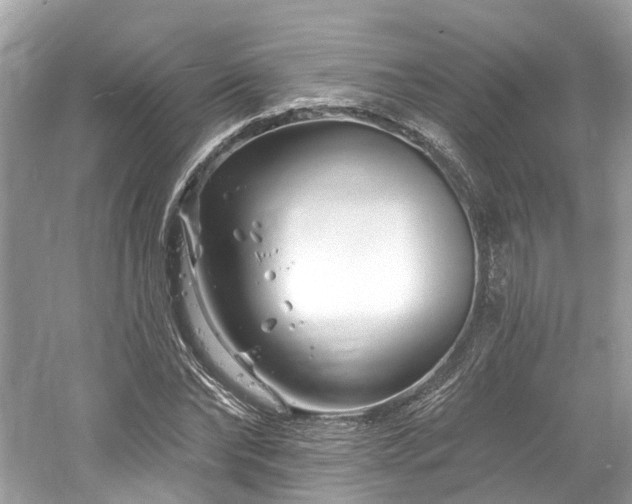 X0000061150878200511181231