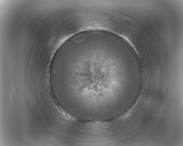 X0000061150879200511181231