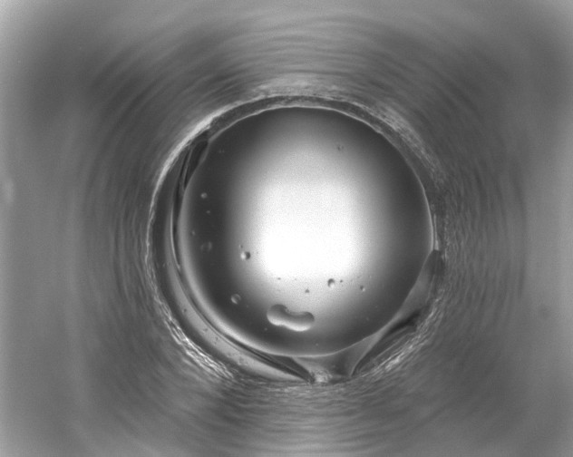 X0000061150880200511181231