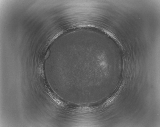 X0000061150881200511181231