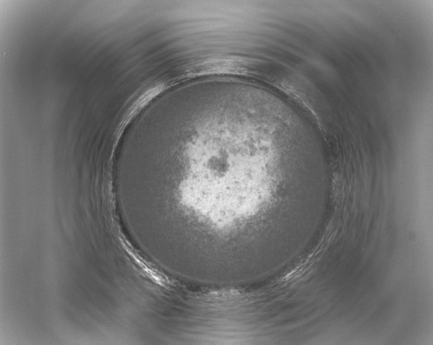 X0000061150882200511181231