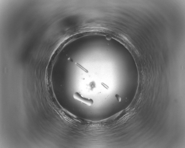 X0000061150883200511181231