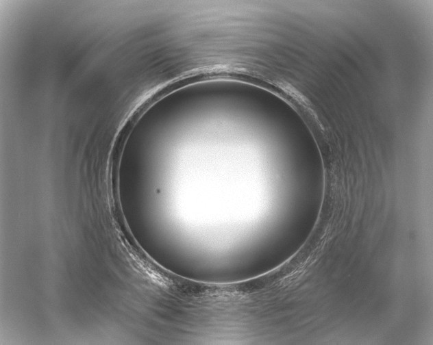 X0000061150886200511181231