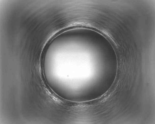 X0000061150888200511181231