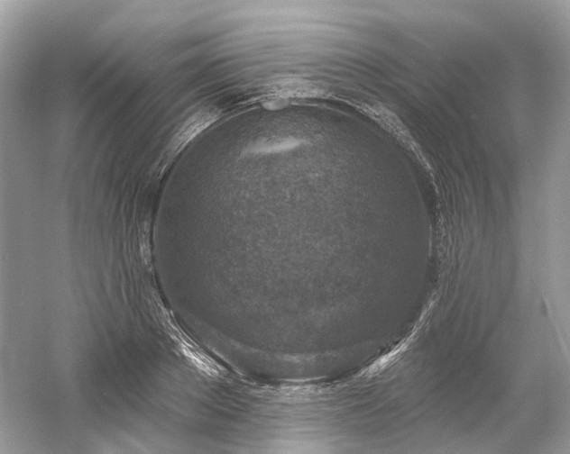 X0000061150889200511181231