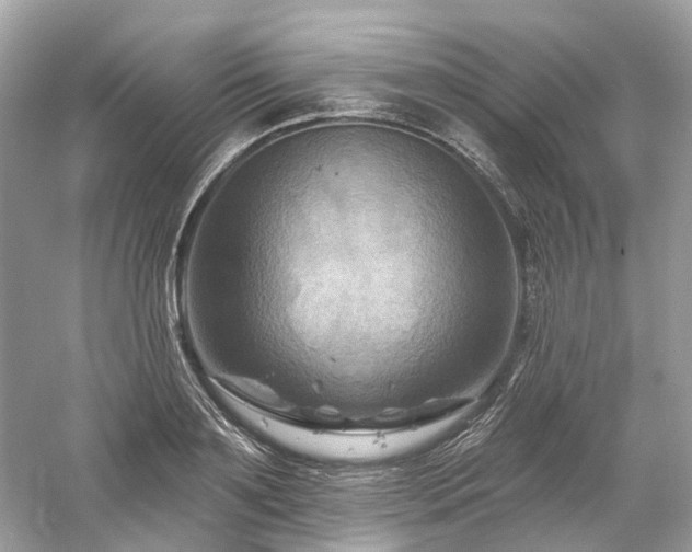 X0000061150891200511181231