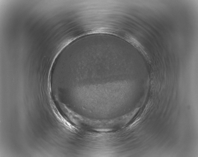 X0000061150892200511181231