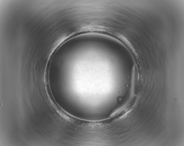 X0000061150893200511181231