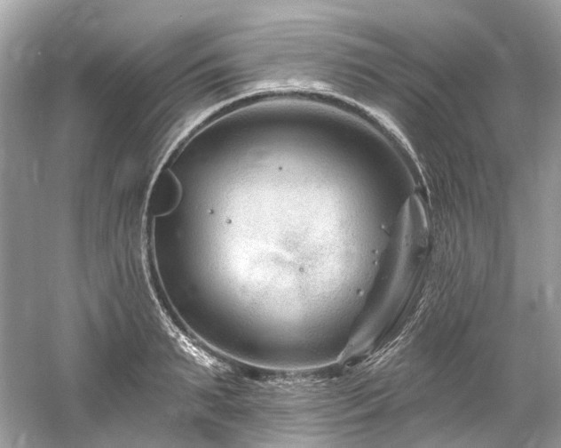 X0000061150895200511181231