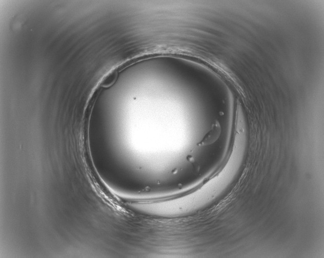 X0000061150896200511181231