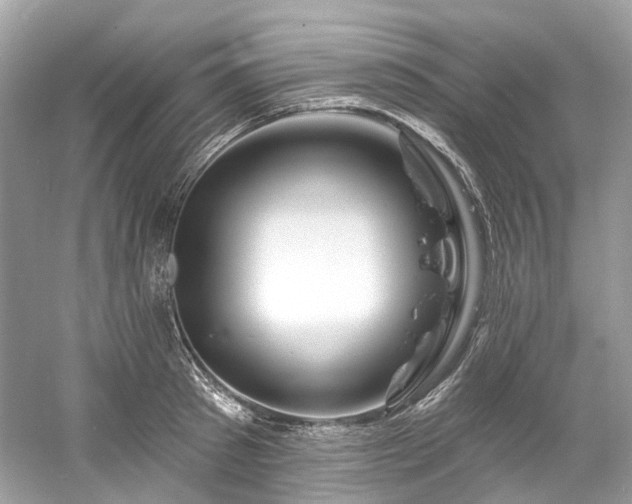 X0000061150897200511181231