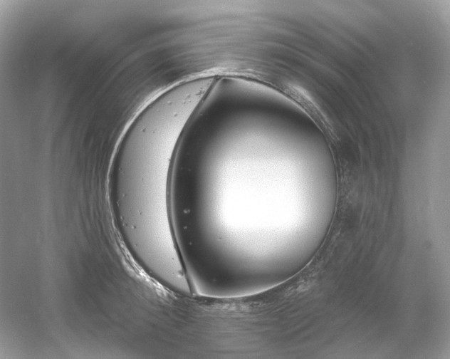 X0000061150900200511181231