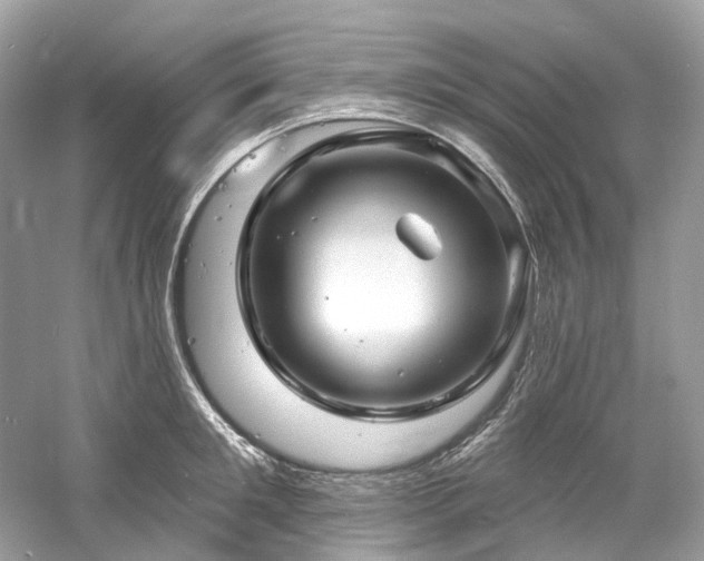 X0000061150901200511181231