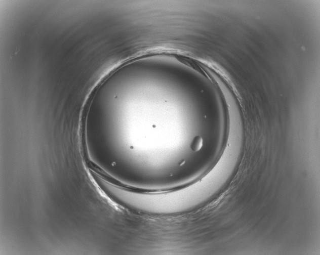 X0000061150902200511181231