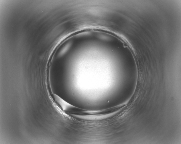 X0000061150903200511181231