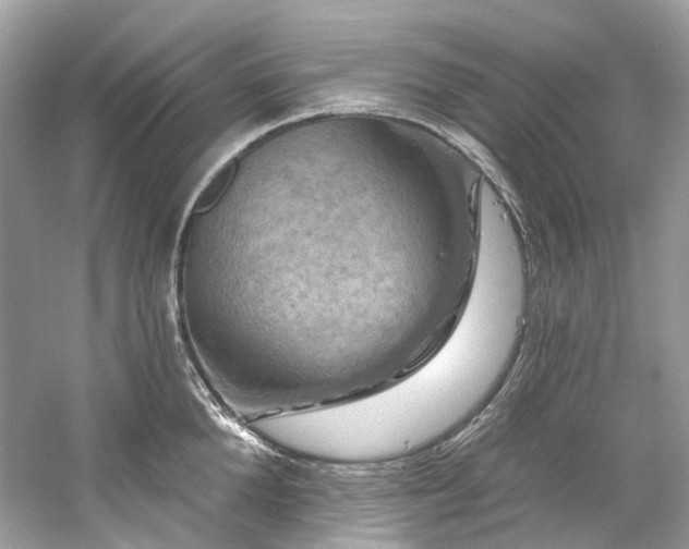 X0000061150904200511181231