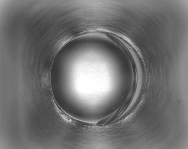 X0000061150905200511181231