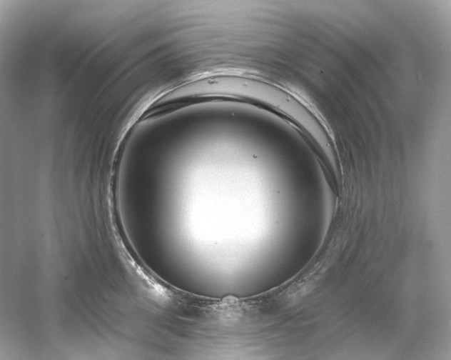 X0000061150906200511181231