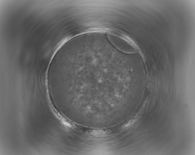 X0000061150907200511181231