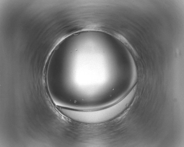 X0000061150908200511181231