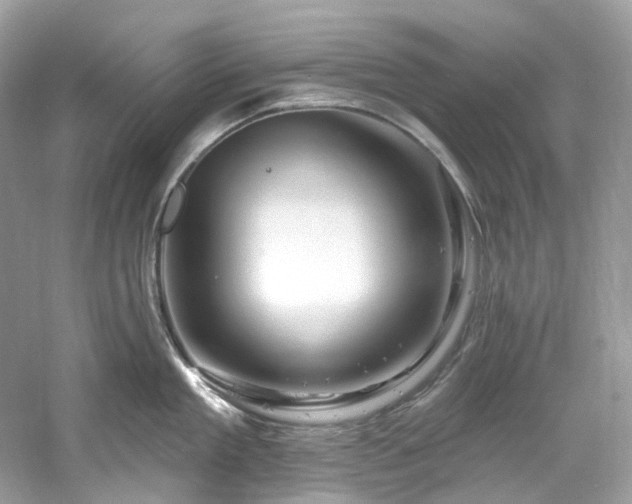 X0000061150909200511181231