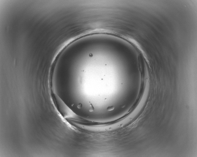 X0000061150910200511181231