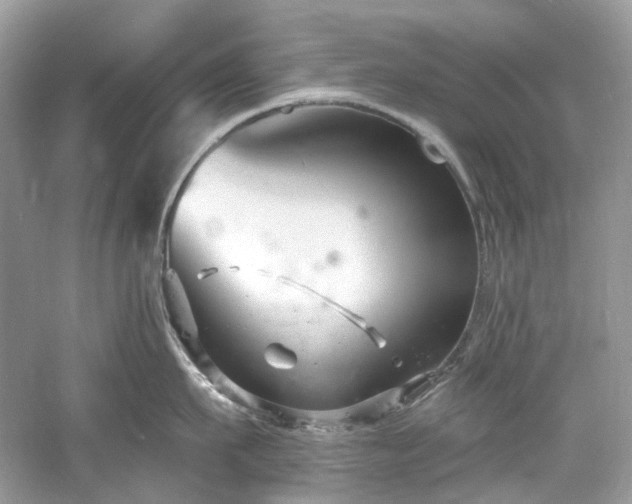 X0000061150911200511181231