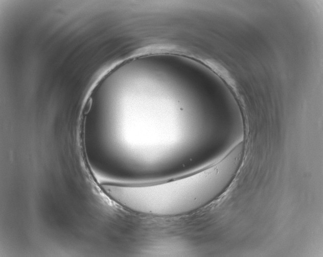 X0000061150912200511181231