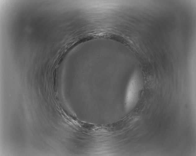 X0000061150913200511181230