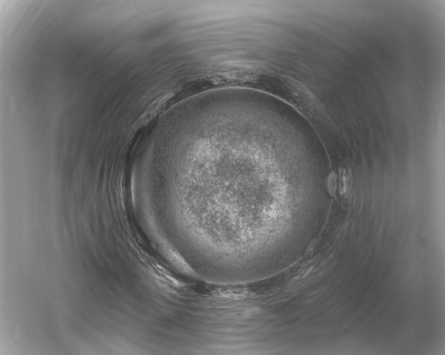 X0000061150915200511181230