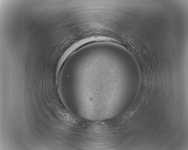 X0000061150916200511181230