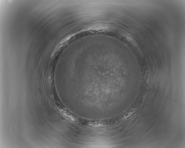 X0000061150920200511181230