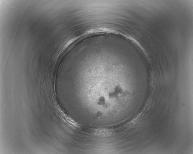 X0000061150921200511181230