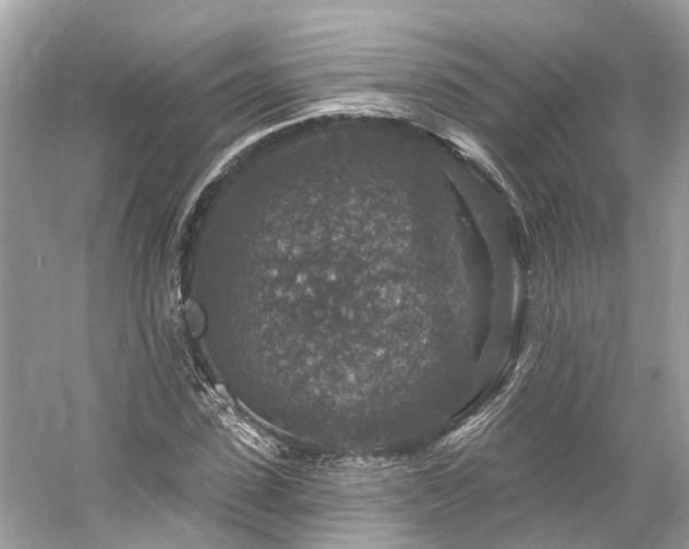 X0000061150923200511181230