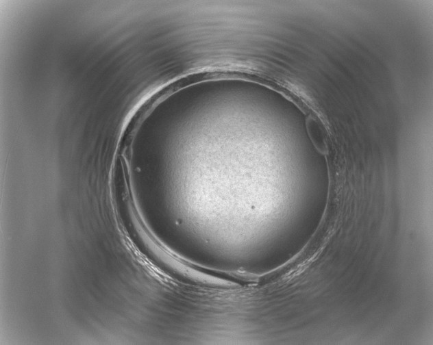 X0000061150928200511181230