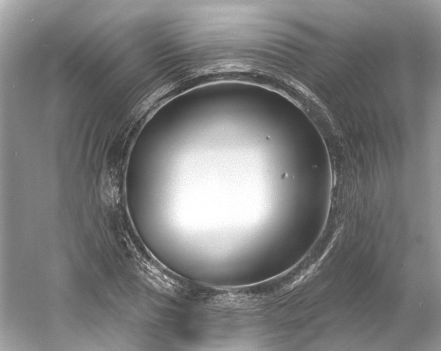 X0000061150929200511181230