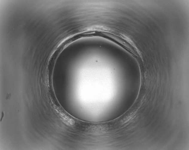 X0000061150931200511181230