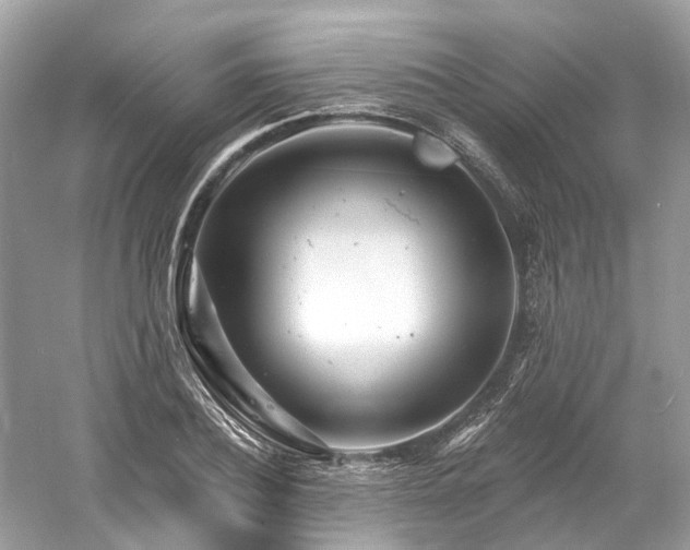 X0000061150932200511181230